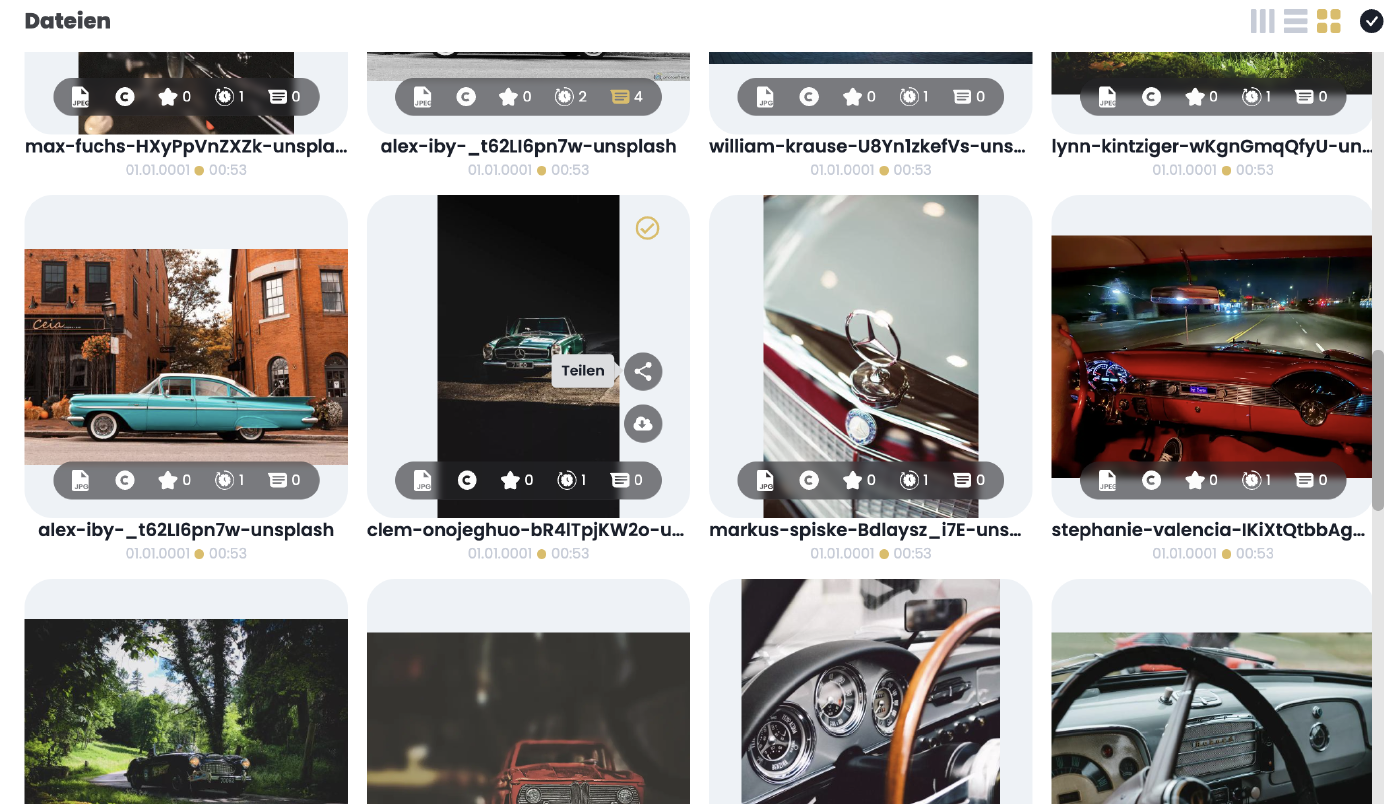 Beschreibung für das Bild hier